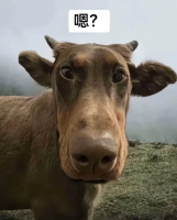 视觉三维重建原理与代码实操解析