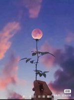 基于NeRF_Gaussian的SLAM