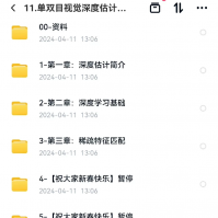 单双目视觉深度估计：从理论到实践