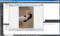 图片浏览器，qt c++界面开发，定制开发源码出售，bug修
