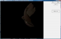 头像转3D模型，c++图片转3D，人脸模型提取