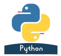 Python项目远程调试服务