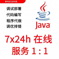 远程调试，环境搭建，程序指导讲解（请先联系客服再拍）