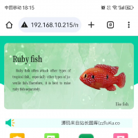休闲养鱼系统源码
