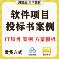招投标文件模板 IT 软件开发项目 信息系统解决方案案例可编辑