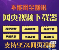【直拍秒发】网页视频下载器软件高清无痕视频直播回放自媒体网课