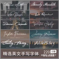 【自动发货】英文手写体procreate英语花体PS字体包婚