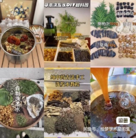【自动发货】自制中药洗发水课程 7款洗发水配方+2款润发乳配