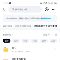 剪辑_找工作_面试_作品集_零基础_一键速成_npr_工