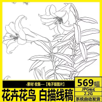 工笔花鸟白描设计素材工笔画_花卉花鸟白描底稿_国画素材_线描