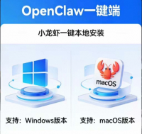 【自动发货】OpenClaw小龙虾一键端【带安装教程】