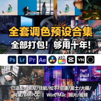 LR预设合集人像ps调色pr滤镜手机lightroom剪映l