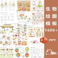 科研设计素材，SCI作图PPT可用科研绘图信号通路生物医学S