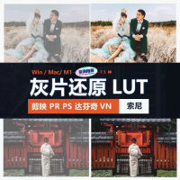 索尼LUT预设设计素材索尼灰片还原LUT预设HLGslog