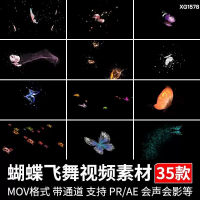 蝴蝶飞舞拖尾粒子视频素材蝴蝶飞舞蝴蝶群拖尾粒子动画特效MOV