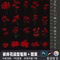 曼陀罗花PS笔刷设计素材曼陀罗曼珠沙华彼岸花造型辅助PS笔刷
