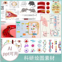 ai模板科研绘图素材ppt医学插画器官细胞流程图片png生物