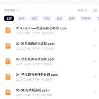 openclaw&ldquo;养虾教程&rdquo;电子版资料，网盘发货～