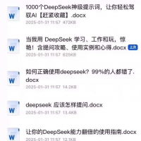 【秒发】DeepSeek高效使用技巧文档大全，包含1000+