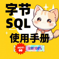 字节内部SQL使用手册_PDF电子版