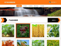 农产品销售系统springboot农产品在线销售系统(源码+