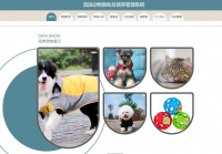 流浪动物救助及领养管理系统(源码+数据库+万字文档齐全)ja