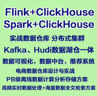 【Flink+ClickHouse大数据实时分析&数仓实战】