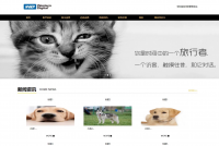 宠物医院管理系统(源码+数据库+万字文档+ppt一整套齐全)