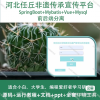 非遗传承宣传平台系统源码A191_java_SpringB