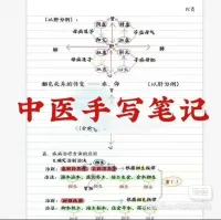 【秒发】2025中医诊断学笔记，中医考研学霸笔记中医手写笔记