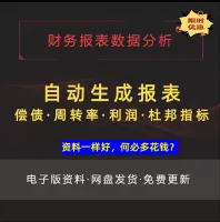 财务报表数据分析Excel表格模板自动生成偿债周转率利润杜邦