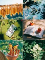 富士CN经典负片胶片模拟ClassicNeg滤镜LR预设p