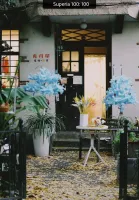 最后一卷胶片_预设_含全部胶片预设，胶片模拟预设LR预设PS