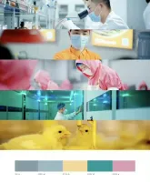 LUTS预设｜Kang调色。工作室lut_，一共44个包含最