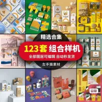 样机源文件作品组合样机场景手提袋礼盒包装VI设计展示PSD智