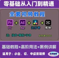 【直拍秒发】2025最新PR+AE+达芬奇+剪映教程，零基础
