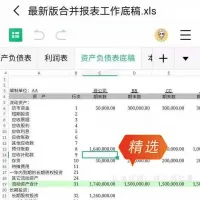合并财务报表模板【可以直接套用】最新合并报表模板全套
