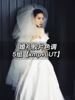 婚礼胶片色调5个_网红胶片色调预设滤镜