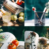 富士胶片模拟lut