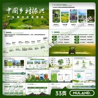 绿色生态智慧农业建设乡村振兴科技招商计划书创业比赛PPT模板