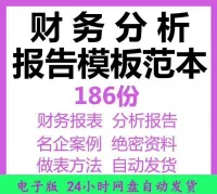 财务报表分析报告word模板名企上市公司财务总结汇报成品案例