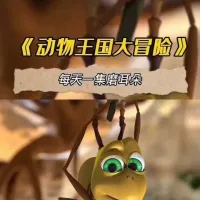 【秒发】48集英语启蒙动画《动物王国大冒险》[红旗][红旗]