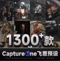 【24小时自动发货】飞思预设captureone预设C1调色
