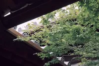 2025.5.30更新_最新最全松下lut