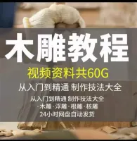 木雕教程视频自学浮雕视频教程根雕教程视频核雕雕刻教程木雕入门