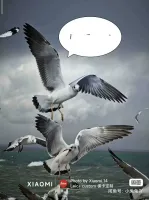 小米14系列拍照预设包（共117个预设）_全网最新最全预设