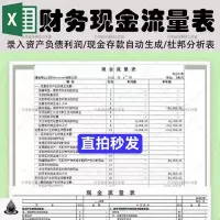 【直拍秒发】现金流量表资产负债利润表公式自动生成excel编