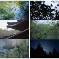 【自动发货】自然空境_50枚古风视频素材_自制剧MV素材10