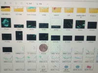 「打包4.8r」文豪野犬cos特效太宰治中原中也芥川龙之介漫