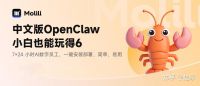 Openclaw是哪个国家的？Openclaw国内能用吗？